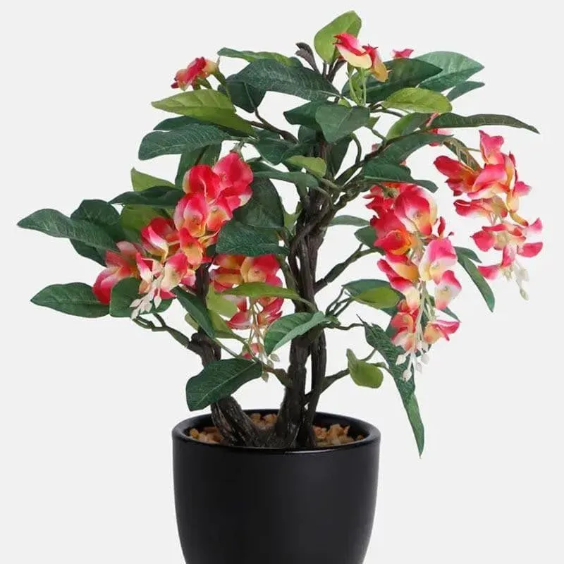 Faux Wisteria Bonsai In Ceramic Pot (25 cms) - Pink media 3