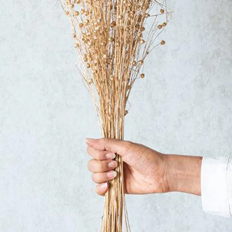 Micaso Gold Dried Flower Bunch media 5
