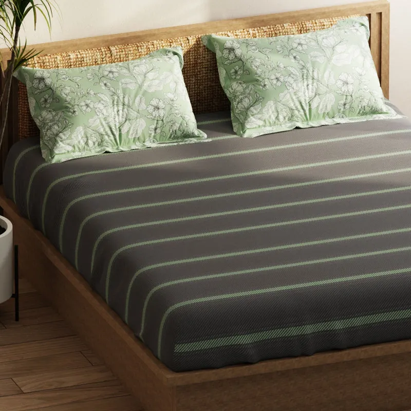 Blush Rest I Bedding Set - Four Piece Set media 4