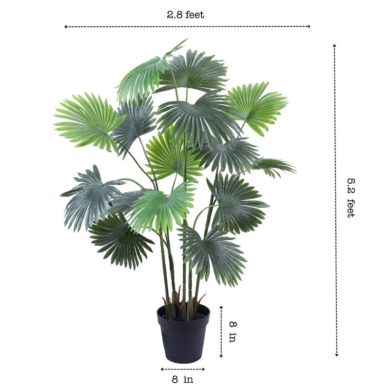 Faux Realistic Areca Plant With Black Plastic  Pot - 5.2 Feet media 8