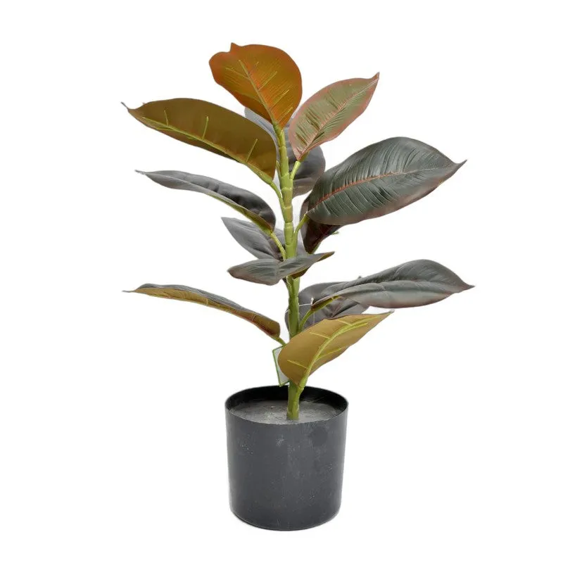 OvaFlora Artificial Rubber Plant With Black Plastic Pot - 1.6 Feet media 4
