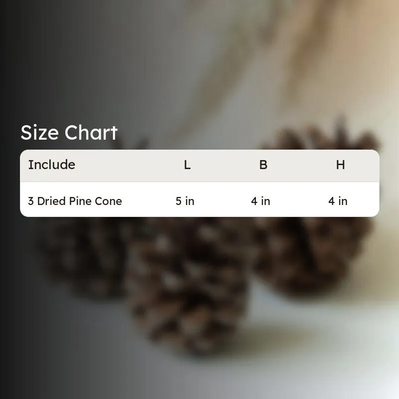 Alpine Dried Jumbo Pine Cone - Set Of Three media 6