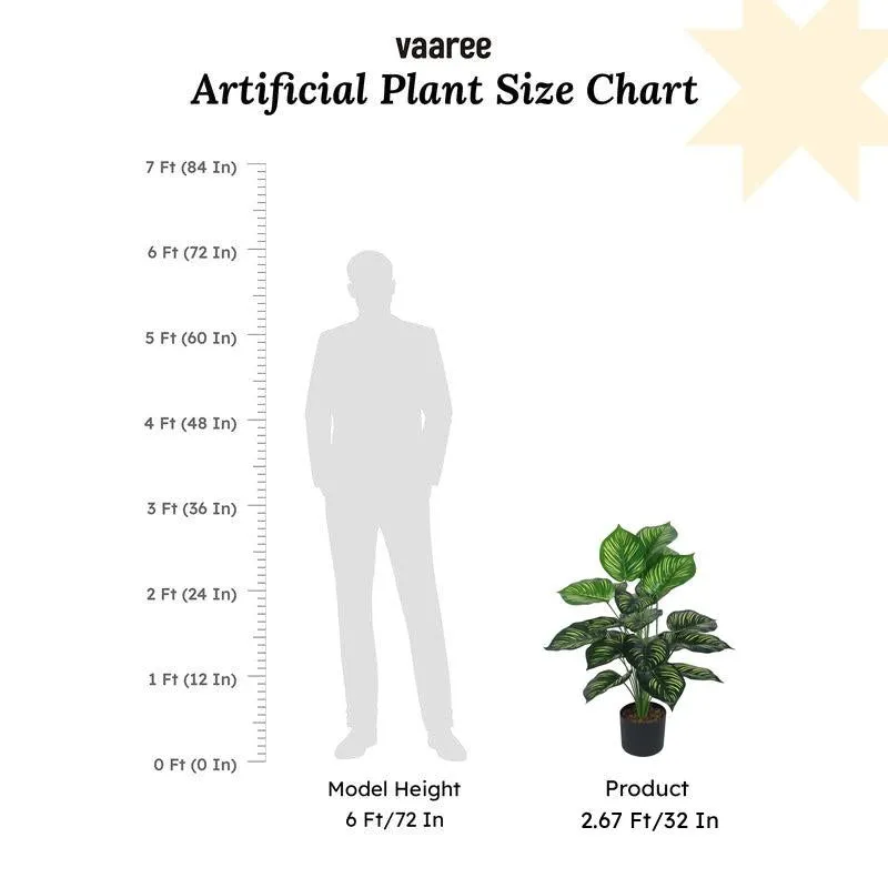 Faux Lush Peperomia Plant With Black Plastic Pot - 2.6 Feet media 7