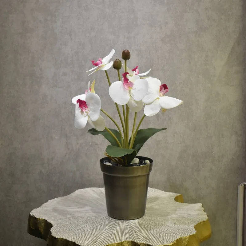 Realistic Artificial Orchid Flower Bunches - White & Green media 1