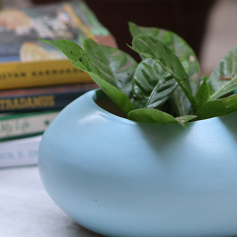 Clayton Ceramic Planter media 3
