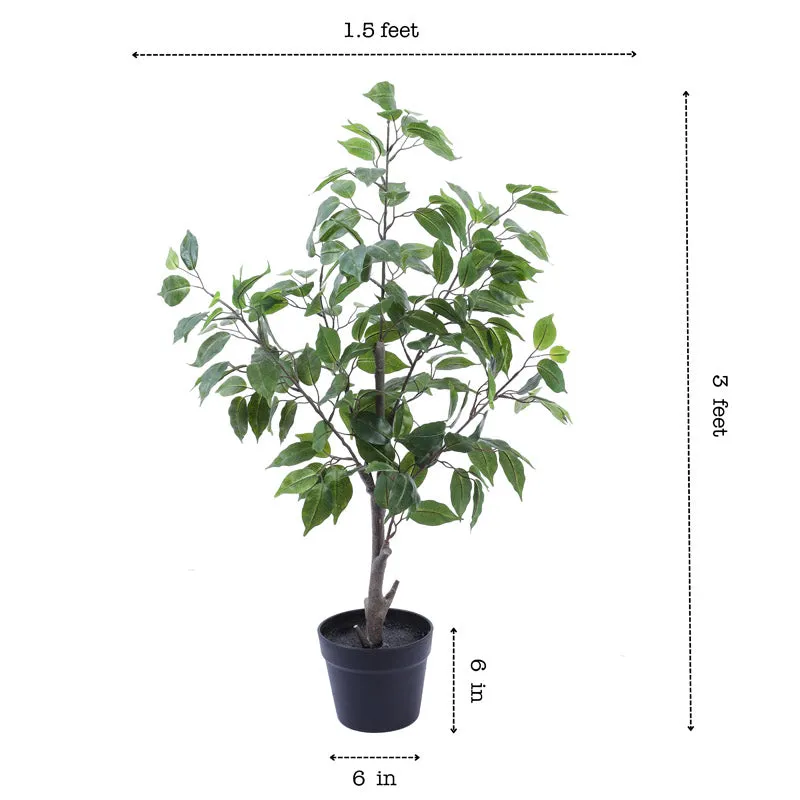 Artificial Realistic Ficus Plant With Black Plastic Pot - 3 Feet media 7