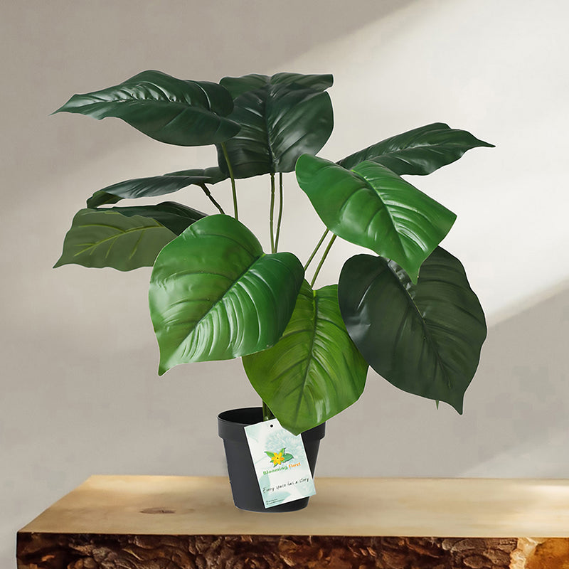 Faux Everlasting Congo Philodendron Plant With Black Plastic Pot - 58 cm media 3