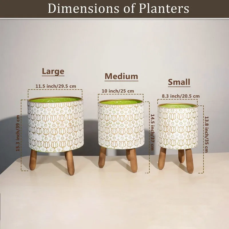 Eden Metal Planters - Set Of Three media 8