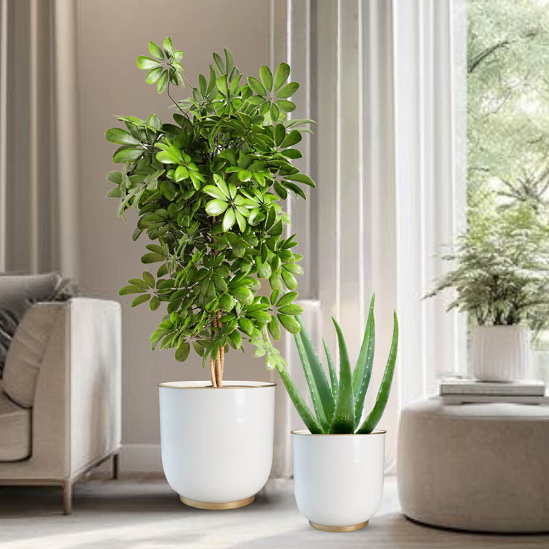 Alabaster Floor Planter - Set of 2 media 9
