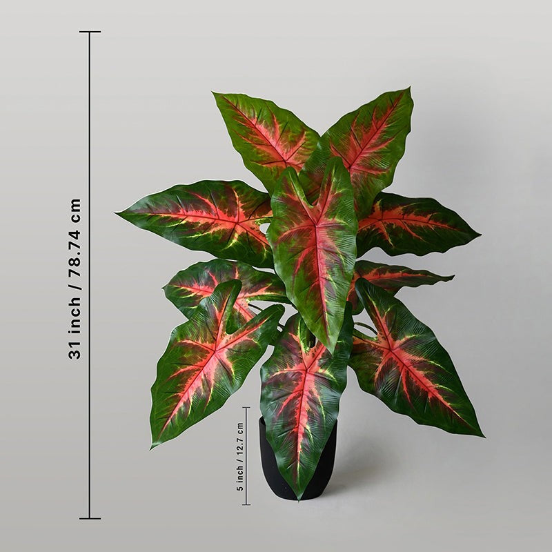 Faux Red Flash Caladium Artificial Plant With Black Plastic Pot - 79 cm (2.6 ft) image 6