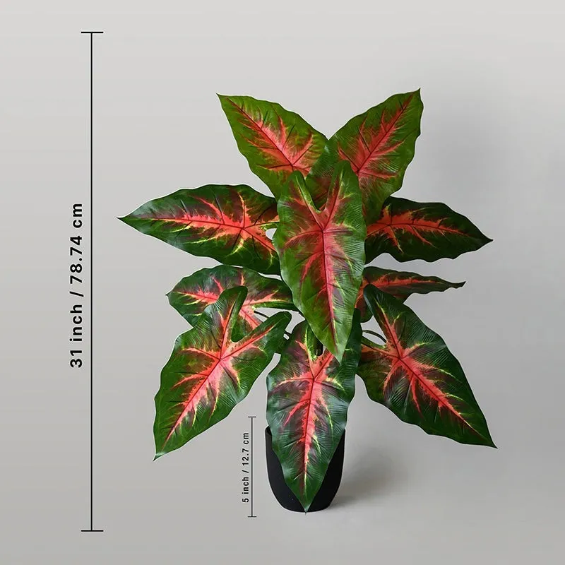 Faux Red Flash Caladium Artificial Plant With Black Plastic Pot - 79 cm (2.6 ft) media 6