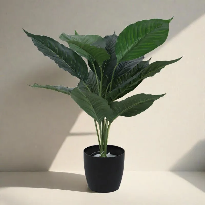 Faux Green Taro Plant With Black Plastic Pot - 2.13 ft media 3