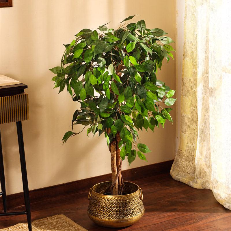 Artificial Realistic Ficus Plant With Black Plastic Pot - 3.9 Feet image 6