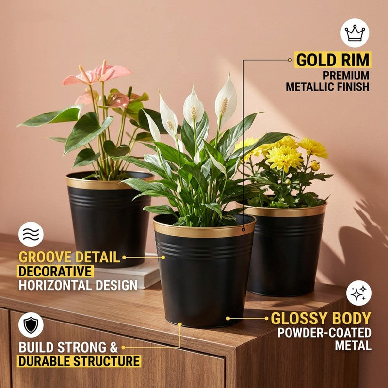 Leafora Iron Planter (Black) - Set Of Three media 9