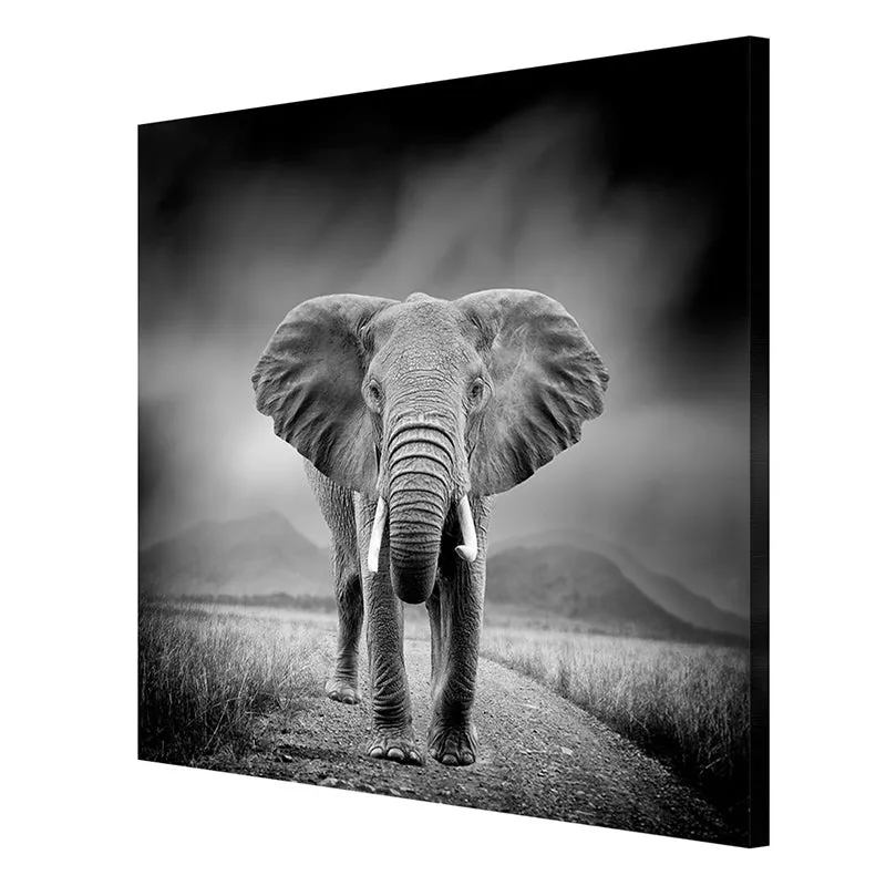 Wild Elephant Wall Painting media 6