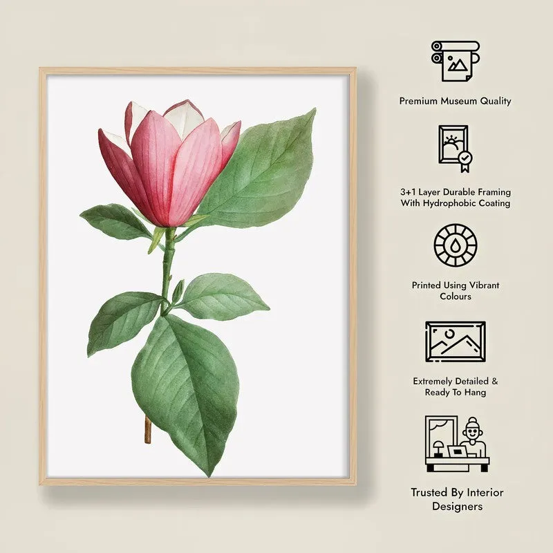 Padma Palette Archival Paper Wall Art - Natural Brown Frame media 8