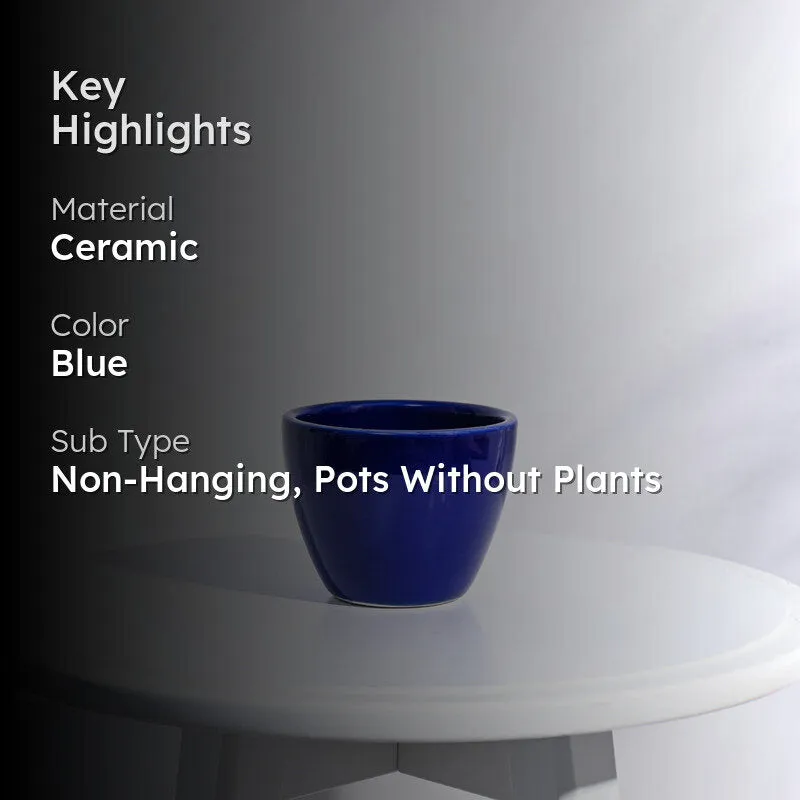 Ugaoo Apple Blue Ceramic Pot media 2