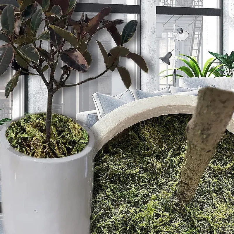 Realistic Artificial Soft Moss - Light Green media 7