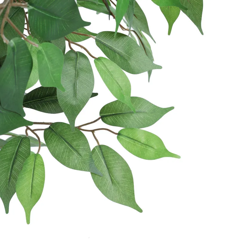 Artificial Realistic Ficus Plant With Black Plastic Pot - 4.9 Feet media 5