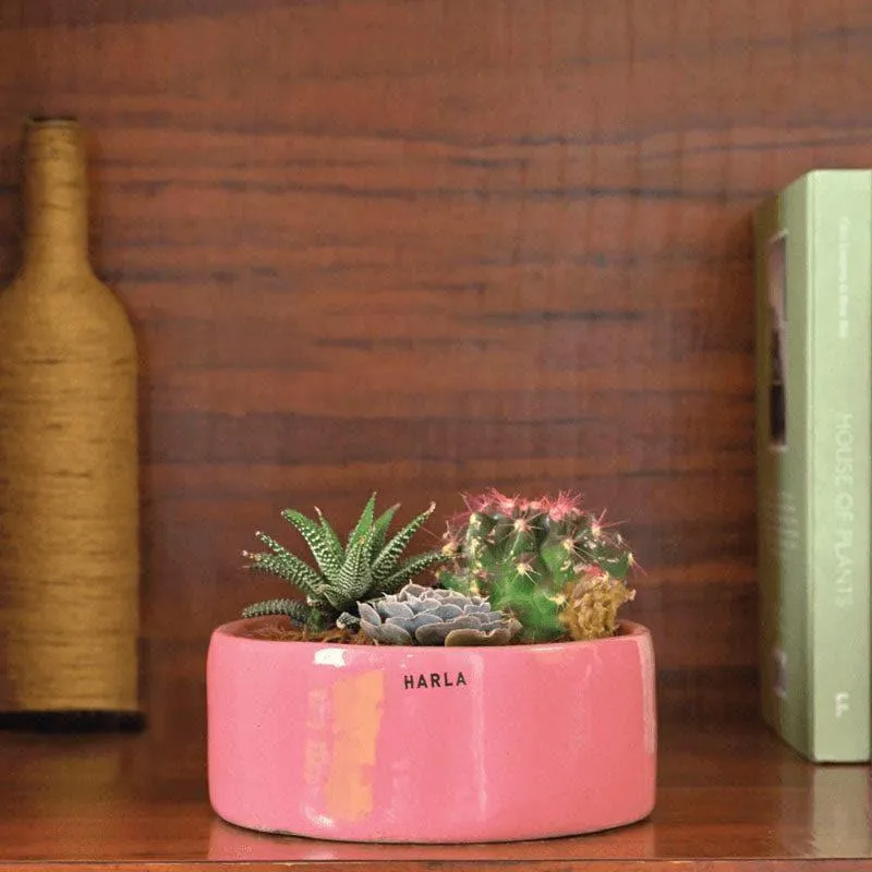 Ugaoo Lilac Stories Ceramic Pot (Magenta) - Set Of Three media 7