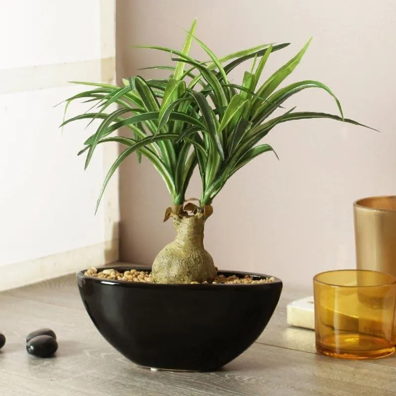 Faux Nolina Bonsai In Ceramic Pot - 29 cms media 1