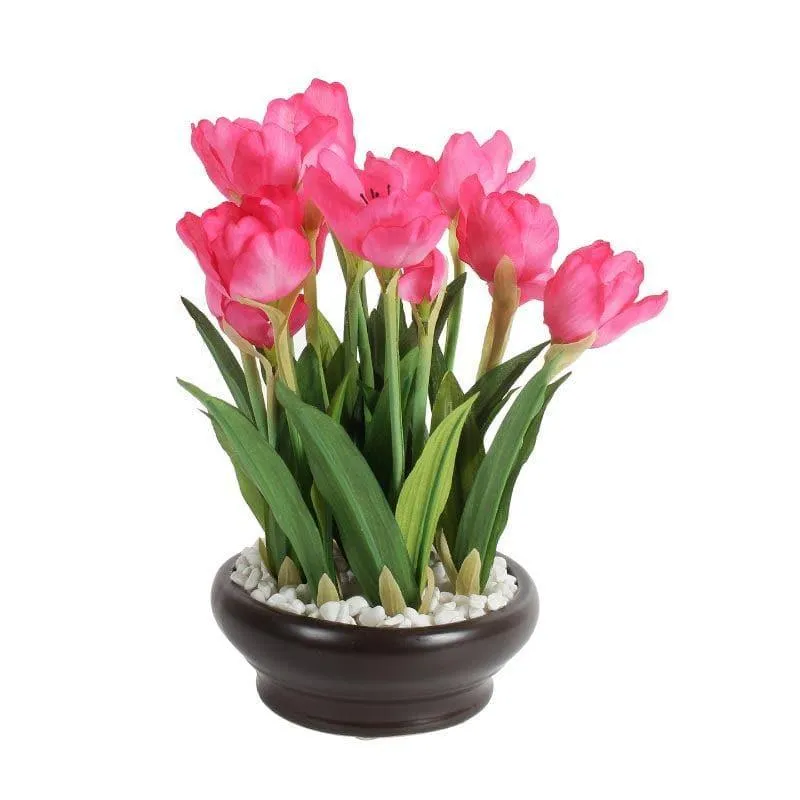 Faux Artificial Tulip Bonsai In Ceramic Pot (26 cms) - Dark Pink media 4