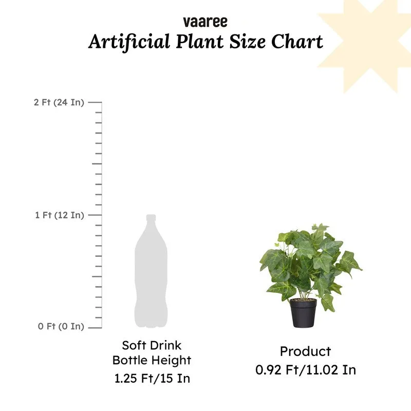 Artificial Ivy Plant With Black Fiber Pot - 0.9 Feet media 7