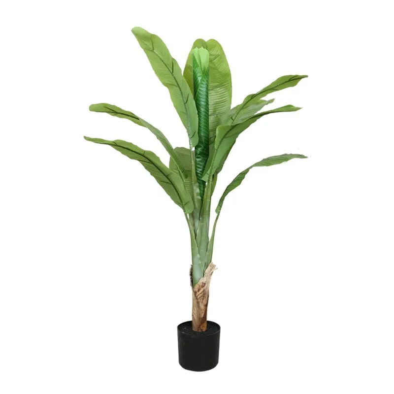 FreshForm Banana Plant With Black Fiber Pot - 4.3 Feet media 4