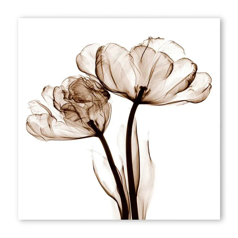 Asteroma Floral Wall Art media 4