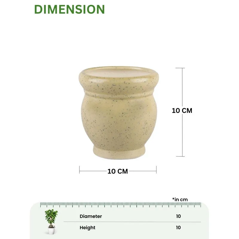 GoldenSprout Planters - Set Of Two media 11