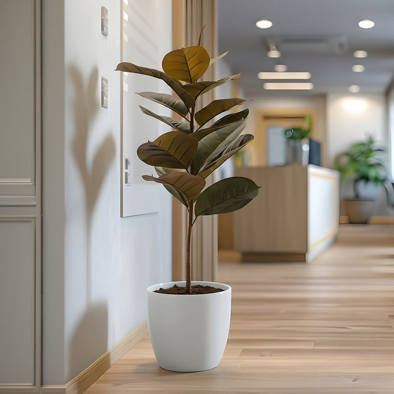 AarviDecor Urban Leaf PVC Artificial Plants media 5