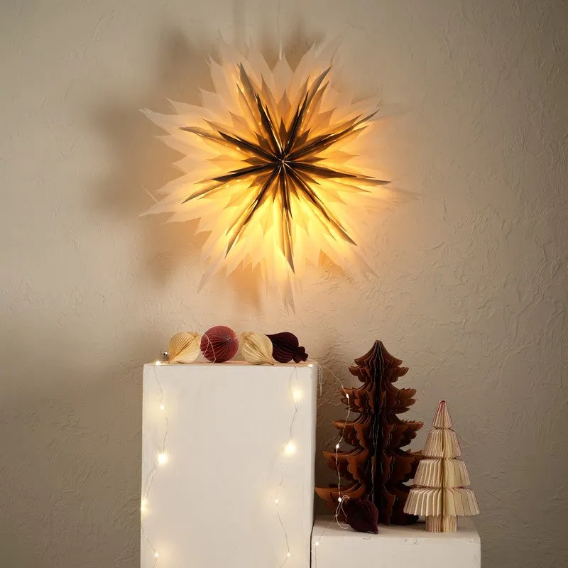 Fig Living Snowflake Flower Festive Light - Black media 6