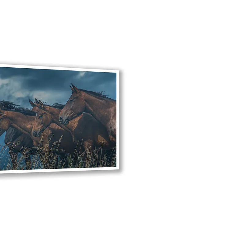 Grazing Horses Wall Art with White Frame media 6