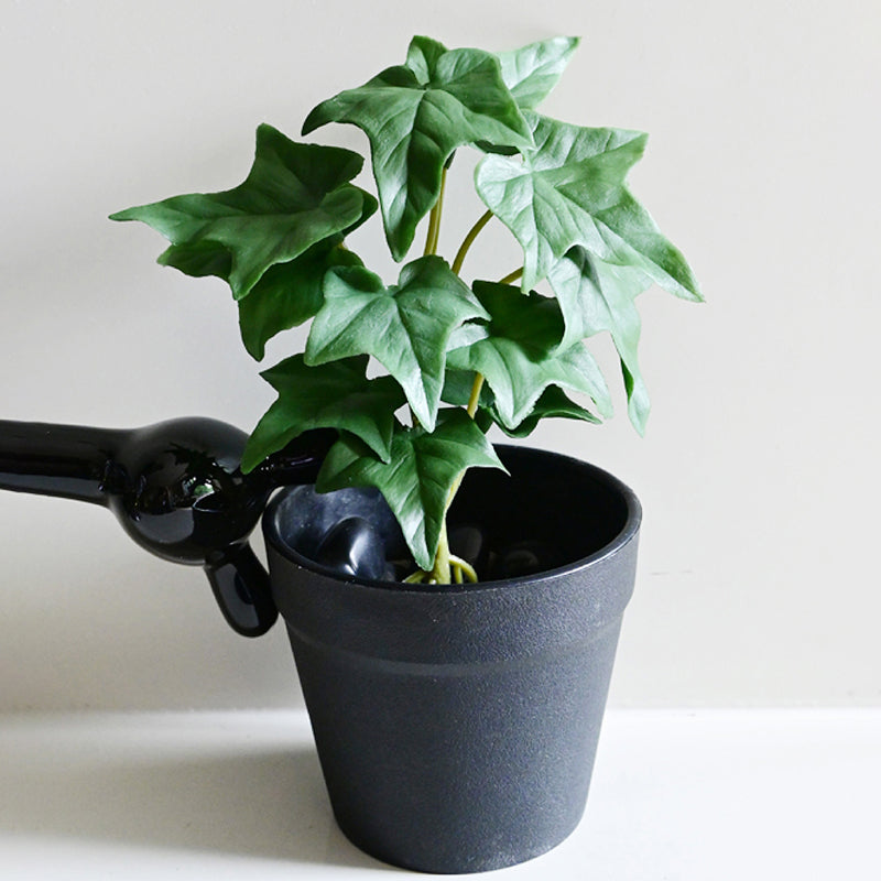 Ivette Artificial Mini Ivy Plant With Basic Black Plastic Pot (Dark Green) - 16 cm media 5