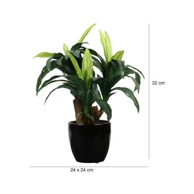Faux Short Dracaena Bonsai - 35 cms media 4