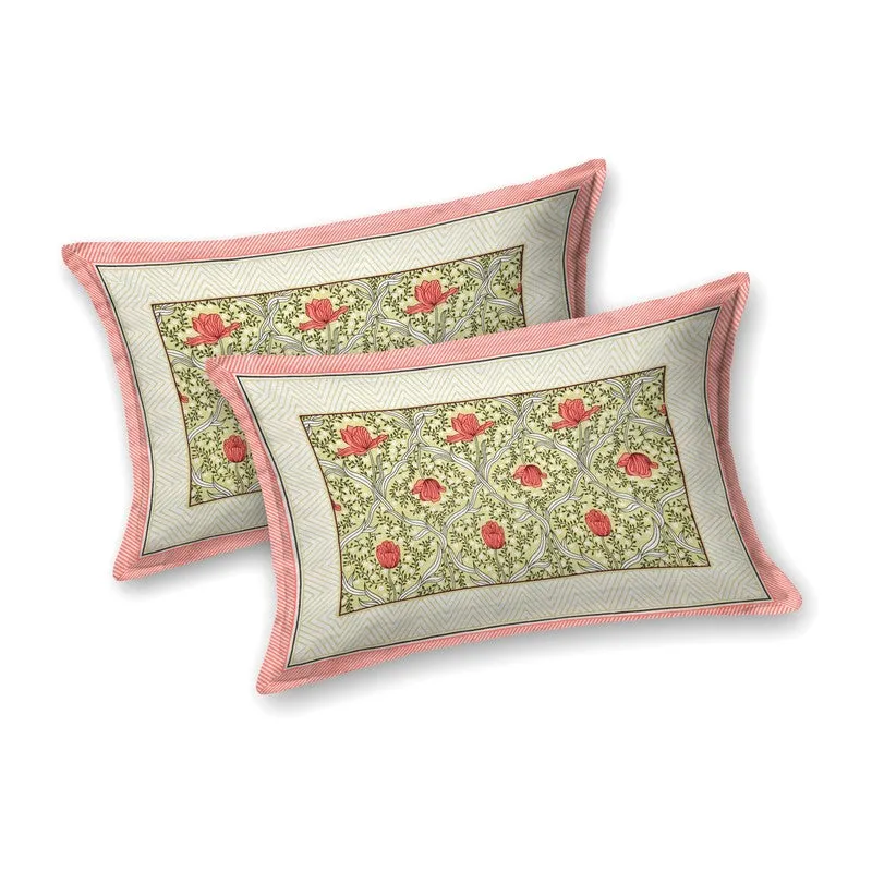 Shapeix Cotton Bedsheet (Green,Red) - 240 TC media 4