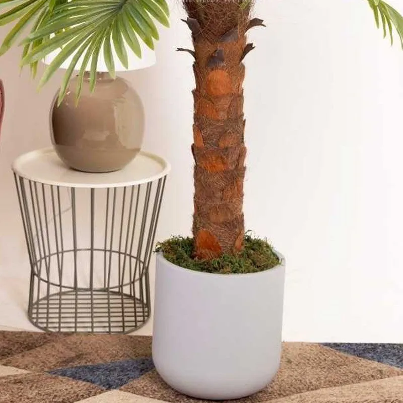 Artificial Fan Palm Plant Without Pot - 4 Feet media 4