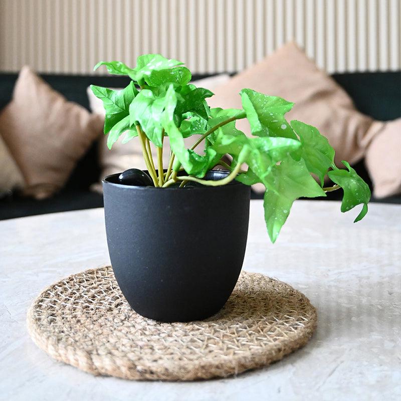 Ivella Artificial Mini Ivy Plant With Basic Black Plastic Pot (Light Green) - 14 cm media 7
