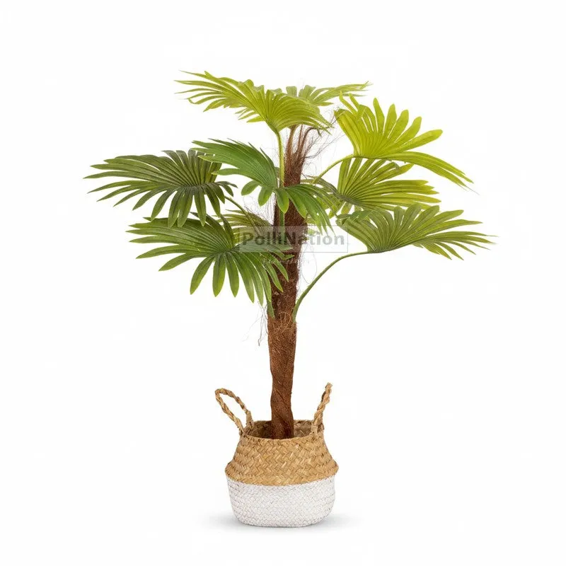 Artificial Raffix Palm Plant Without Pot - 3 Feet media 5