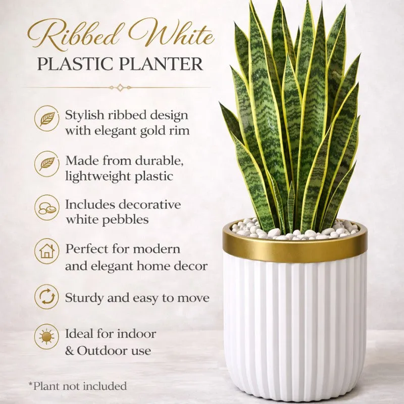 GlowRoot Planter media 6