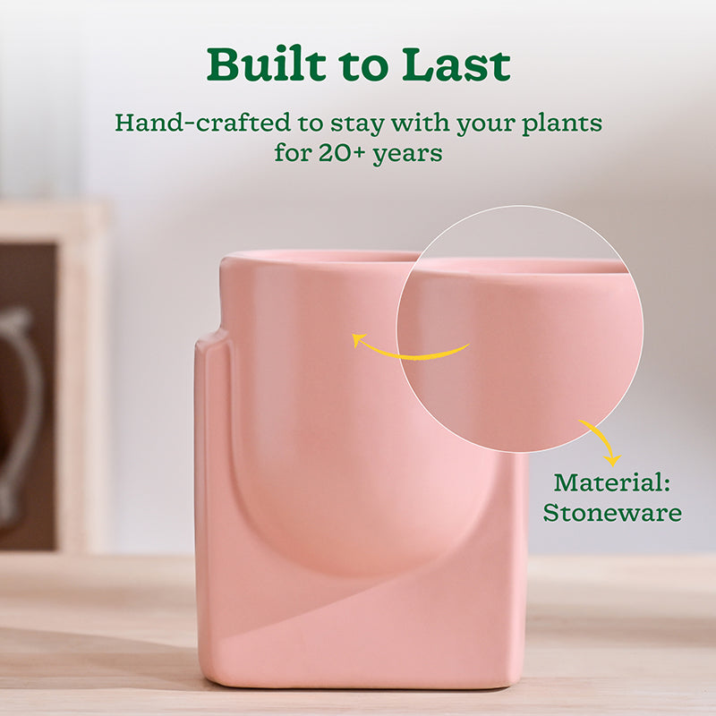 Ugaoo Minimalica Ceramic Planter - Soft Pink media 3
