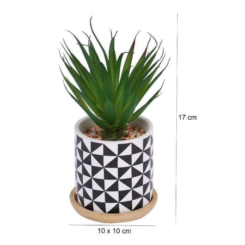 Faux Agave In Patterned Pot - 17.5 cms media 4