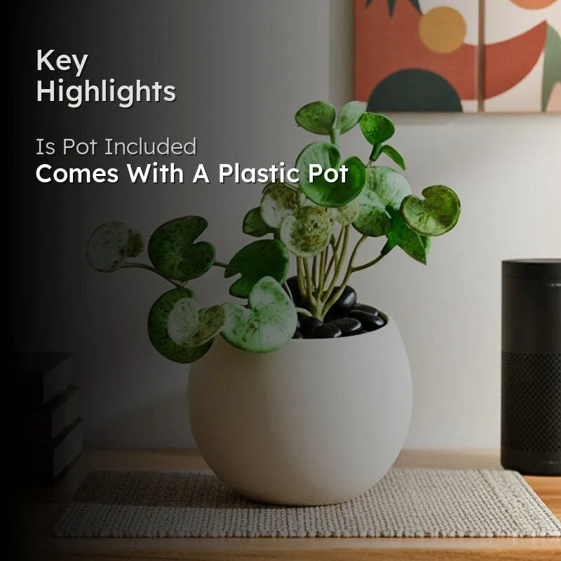Pennelle Artificial Leaf Pennywort With Black Plastic Pot (Spotted Green) - 13 cm media 2
