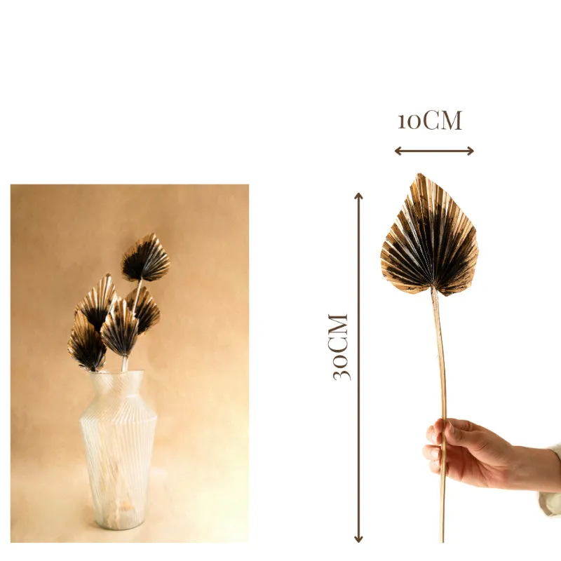 Dried Dual Tone Palm Leaf (Golden Black) - Set Of Five media 5