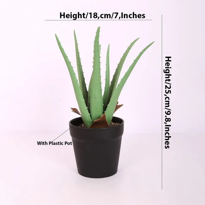 Healing Aloe Vera Artificial Plant With Black Plastic Pot media 6