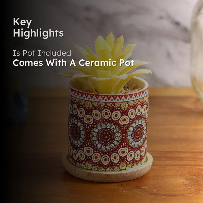 Faux Echeveria In Ethnic Pot - 12.5 cms media 2