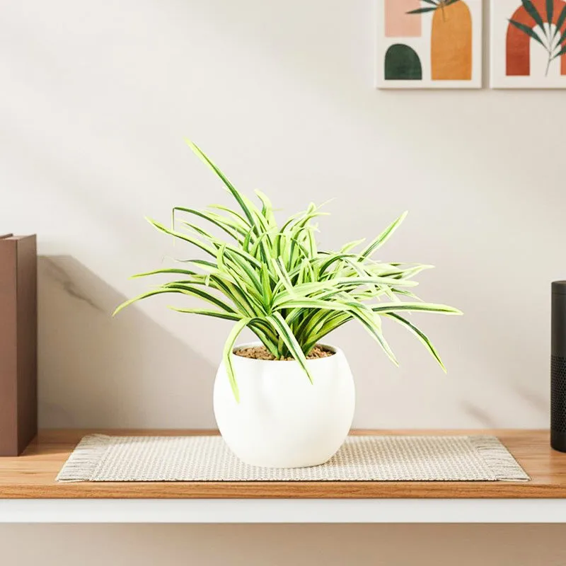 Faux Big Dracaena Bonsai (27 cms) - Yellow media 1