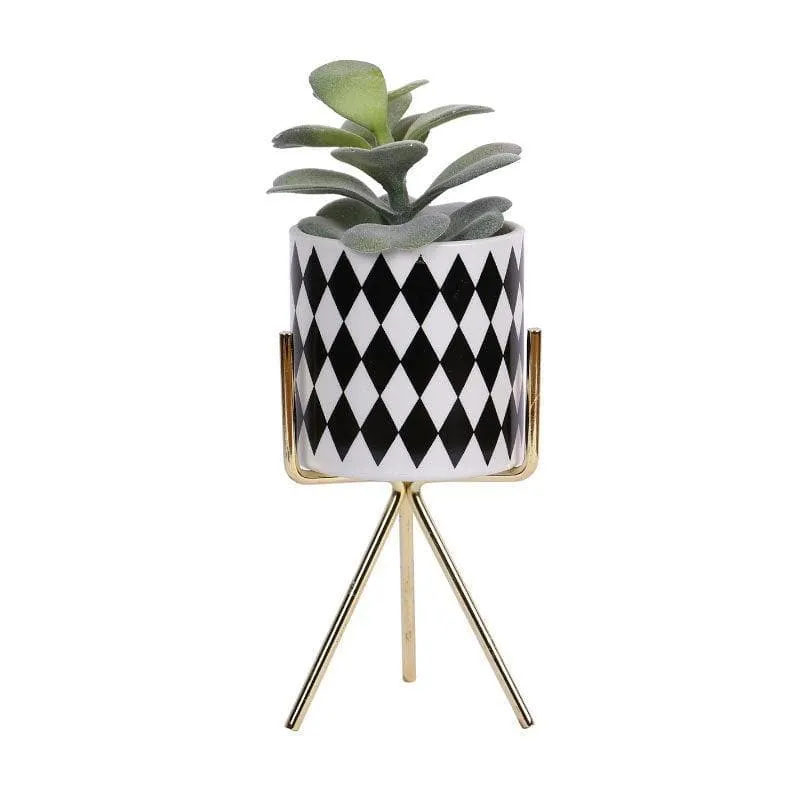 Faux Succulent In Checkered Pot With Tripod - 20 cms media 3