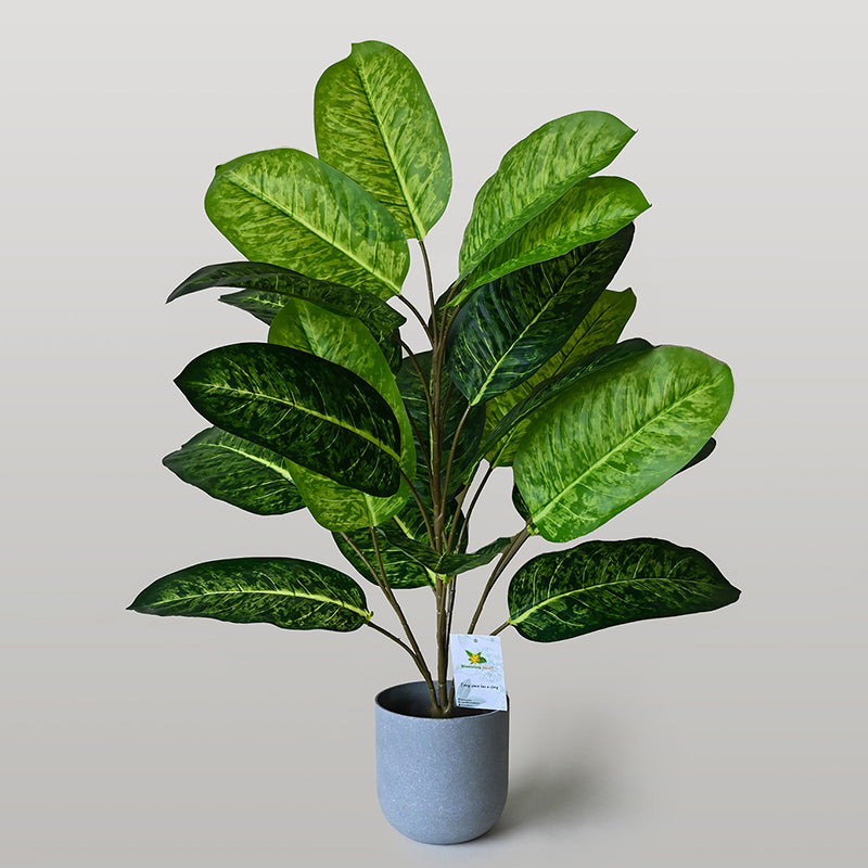 Faux Fiddle Fig Plant With Black Plastic Pot - 79 cm (2.6 ft) media 6