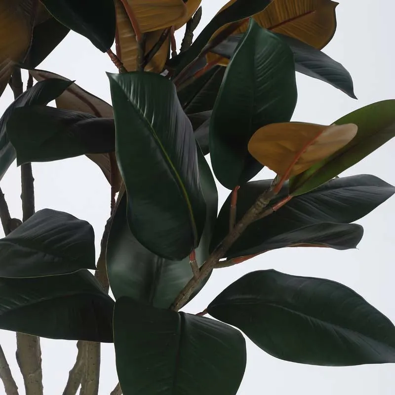 Faux Lush Mangolia Plant With Black Plastic Pot -5 Feet media 4